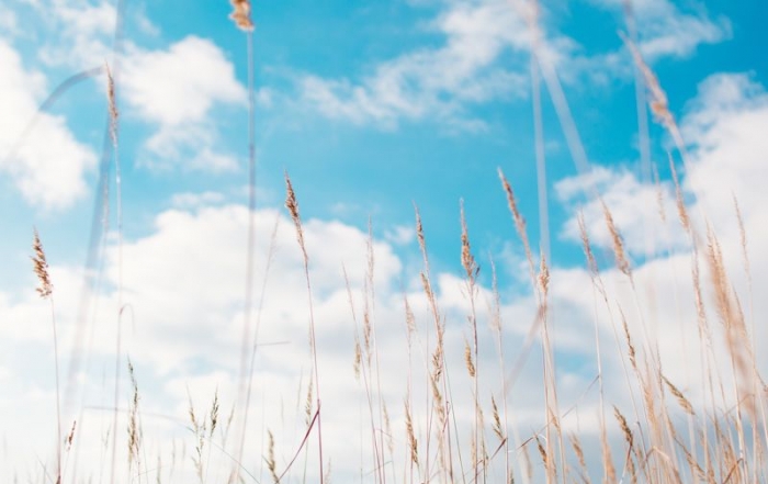 Station météo connectée